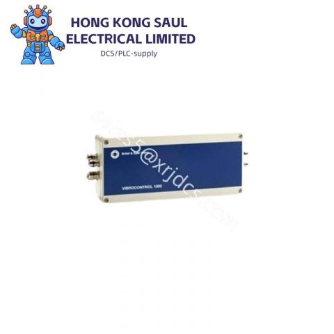 B&K VIBRO CONTROL 6000 CI-615 (620) - High Precision Industrial Control Module