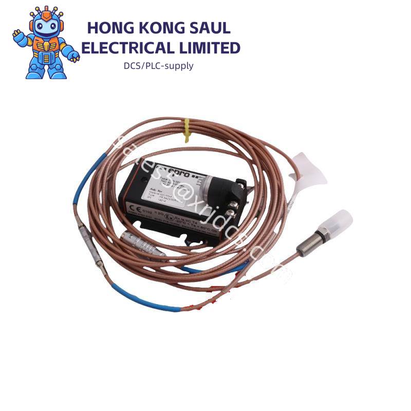 emerson_epro_pr6423_004-010-cn_con21.jpg EPRO PR6423/004-010 Power Conversion/Frequency Adjustment Module