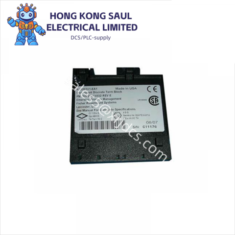 Emerson ST24B3 Industrial Control Module