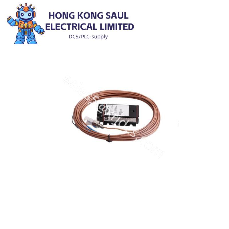 pr6423_00r-010-cn_epro_professional_service.jpeg EPRO PR9670/110-100 Control Module - Precision & Reliability