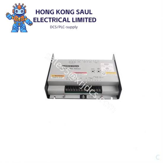 woodward_5462-948_thermocouple_card.jpg WOODWARD 8440-1848 easYgen-3000 Series Control Module