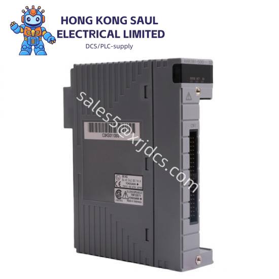 yokogawa_aar181-s00_input_module_aar181_s00_2.jpg Yokogawa AAR181-S00 RTD Input Module, 12-Channel Isolated RTD Input Module