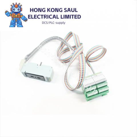 FOXBORO FBM207C P0917GYM Module - Enhance Your Industrial Control Systems