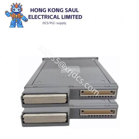 ICS TRIPLEX T8191 Single Slot PLC Controller Module Card Transmitter Sensor