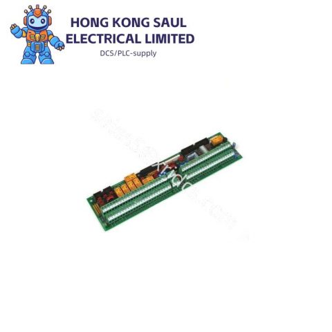 GE DS200FSAAG2ABA AC Output Module, Fast-Acting Fuses Included