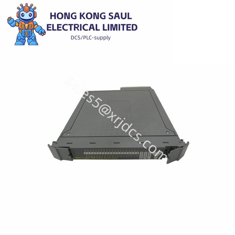 ics_triplex_t8403_1.jpg ICS Triplex T8403C Combustion Auto Control Technology