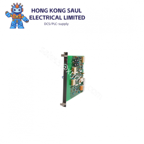 RELIANCE 57401-2 Custom Industrial Digital Drive