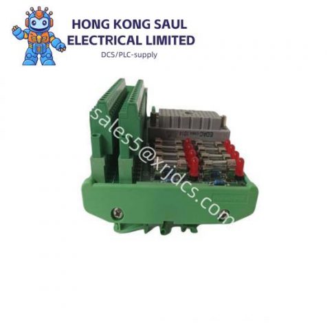 TRICONEX DO2401 Displacement Transmitter Dual Lever