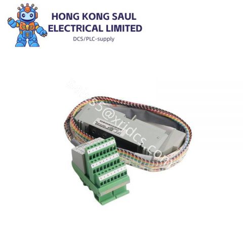 FOXBORO AD207AV PLC Module for Industrial Automation Control Systems