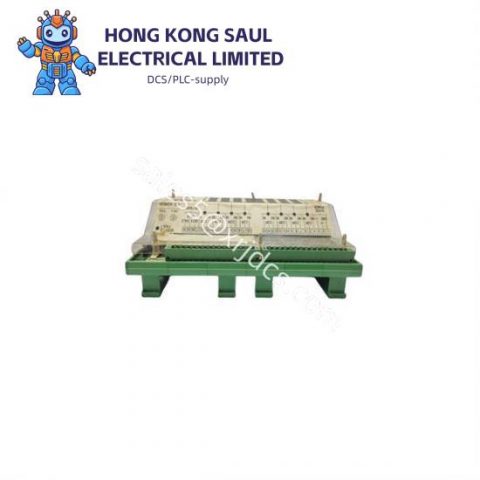 WOODWARD 9905-973 Custom Processing Module